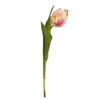 Tulipan, fersken/rosa 29cm